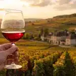 route des vins de bourgogne